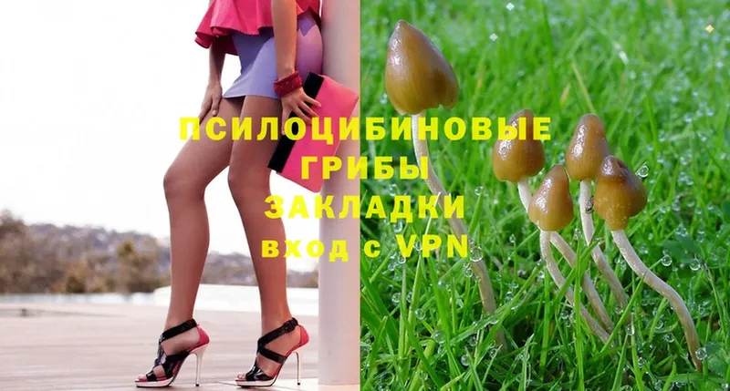 Галлюциногенные грибы MAGIC MUSHROOMS  mega ссылка  Соликамск 